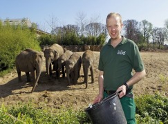 Axis cameras capture ground-breaking elephant sleep study at Dublin Zoo