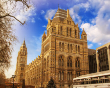 Natural History Museum Protected by Advanced Systems