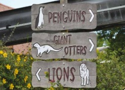 Chester Zoo rationalises, networks and centralises its security operations