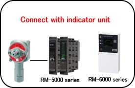 RM-6000 Fixed detection system for Combustible Gases including Hydrogen