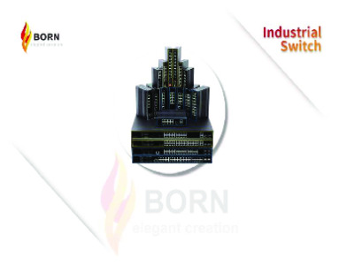 Born Network Switches PoE & NoN PoE commerical and industrail switches media convector and injectors